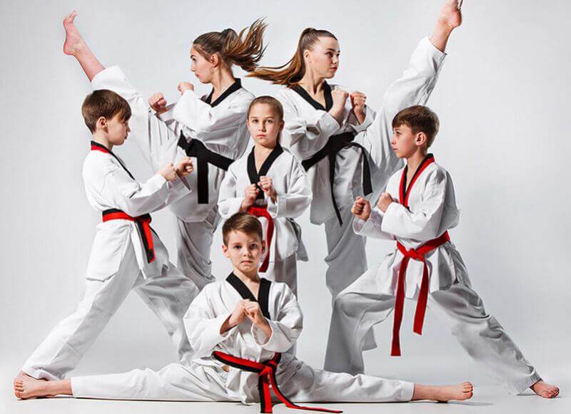 Family Martial arts